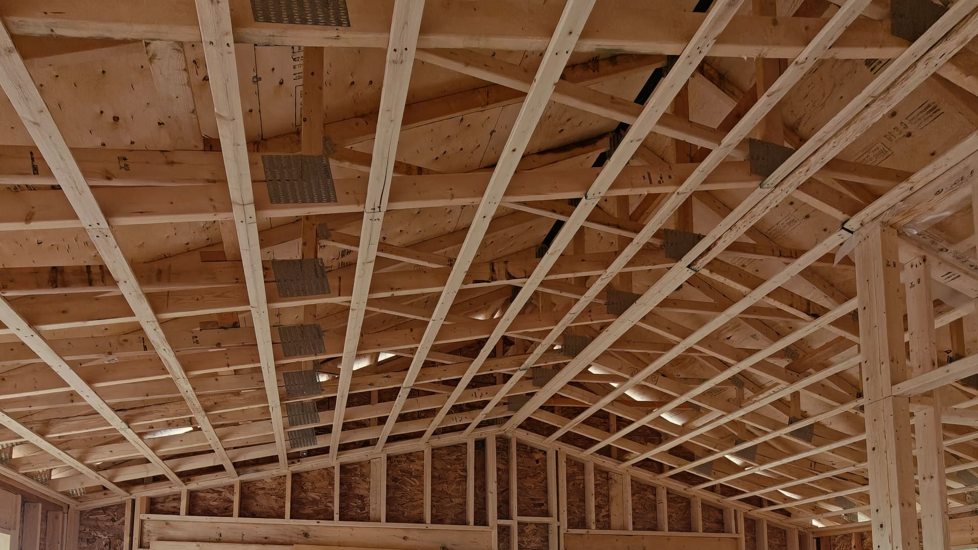 Roof and wall framing at the 768 Shore Lane cottage renovation in Wasaga Beach
